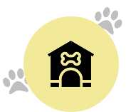 Dog Boarding / Day Care